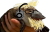 fl0g