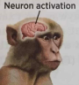 NEURON emote