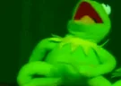 KermitPuke emote