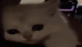 rasstroenblin emote