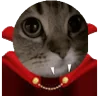 meow emote