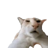 guh emote