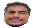 koteiCHAD emote