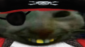 xddPirate emote