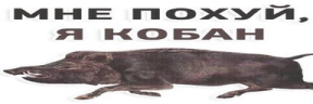 Poxui emote