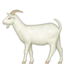 goat emote