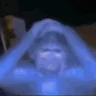 damn emote