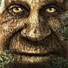 WiseTree emote