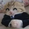 gladeg emote