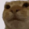 aha emote