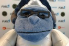 Winton emote