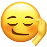 Flirted emote