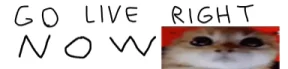 golive emote
