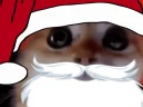 RAGEY emote