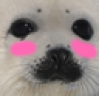 sealBlush emote