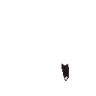 DoNot emote