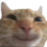 catSmile emote