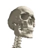 forsenLaughingAtYou emote