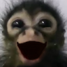 monkehappy emote