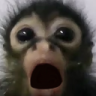 monkeD emote