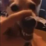 Lala emote