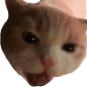 beauFood emote