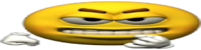 ReallyReallyReallyMad emote