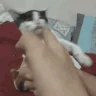 headshot emote