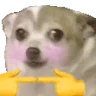 DoogShy emote
