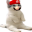 bingbingWAHOO