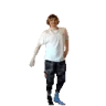 xqcLuddy emote