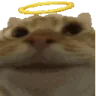 Sisi emote