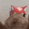 kirikoVibe emote