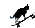 catSkate emote