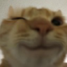Wink emote