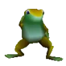 FROGGED emote