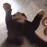 YUH emote