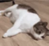 upal emote