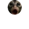 :0Bounce emote