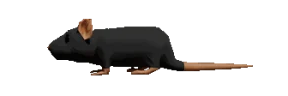 Henrique emote