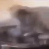 catSpin emote