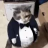 jeffrey emote