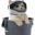 catsittingveryc(...)