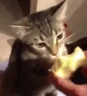 Apple emote