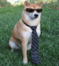 mrswagboss emote