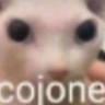 cojone emote