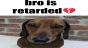 idiot emote