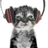 catnotL emote