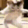 Kittendance emote
