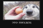 eg emote